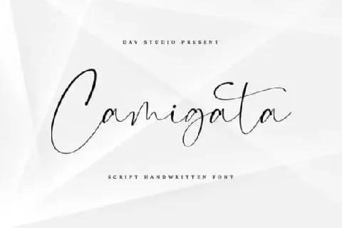 Camigata Handwritten font