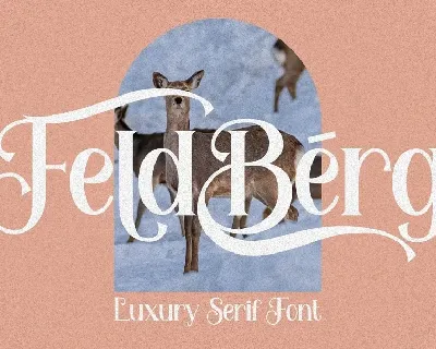 Feldberg font