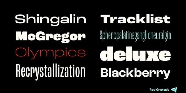 Roc Grotesk Family font