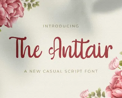 The Anttair font