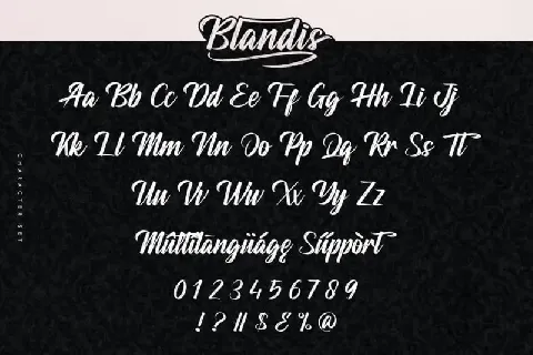 Blandis Brush font