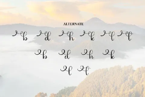 Wonderful Calligraphy font