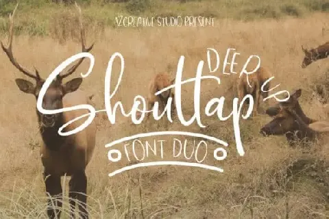 DeerUp Shouttap Duo font