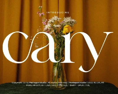 Cary | Classy Serif font