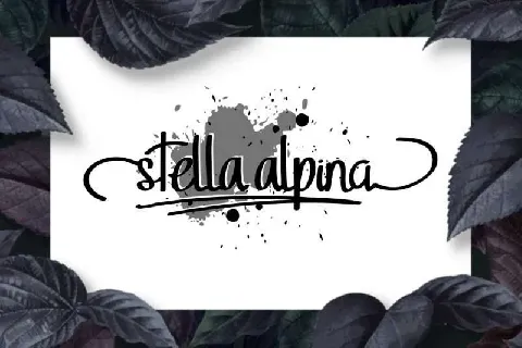 Stella Alpina Script font