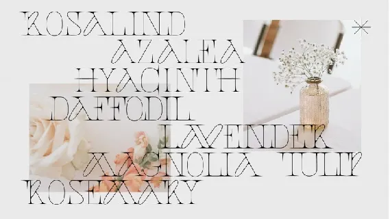 Faglia font