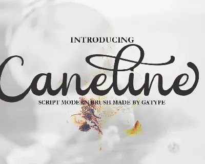 Caneline font