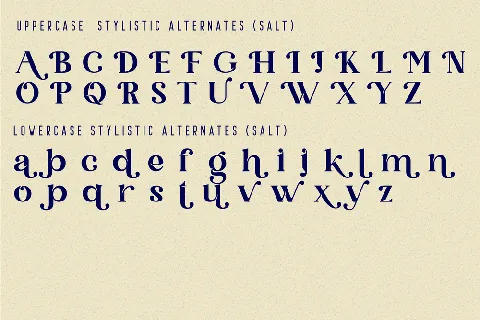 Qanect Elegant font