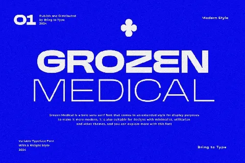 GROZEN MEDICAL DEMO font