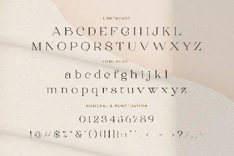 Roman Sophisticated font