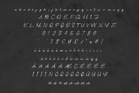 Signotera Brush font