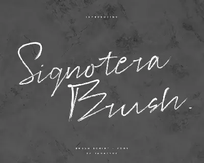 Signotera Brush font