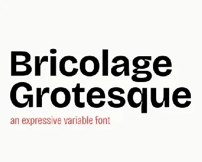 Bricolage Grotesque Family font