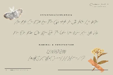 Dialeksa Personal Use font