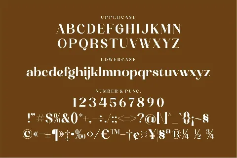 Achemost font