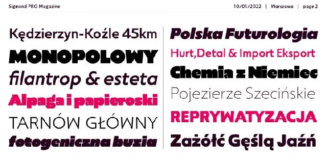 Sigmund PRO Family font