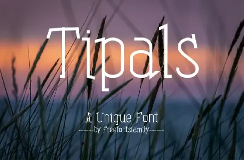 Tipals font