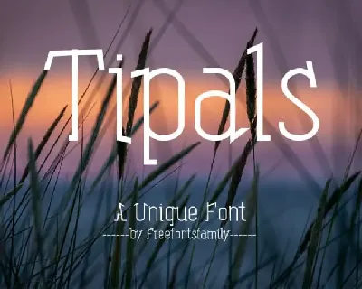 Tipals font