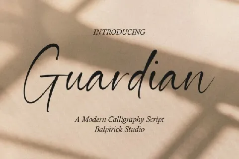 Guardian Typeface font