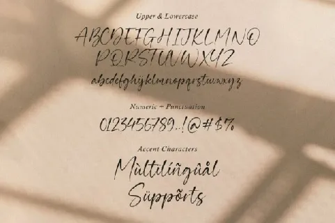 Guardian Typeface font