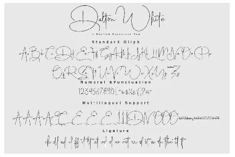 Dalton White font