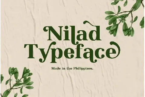 Nilad Serif font