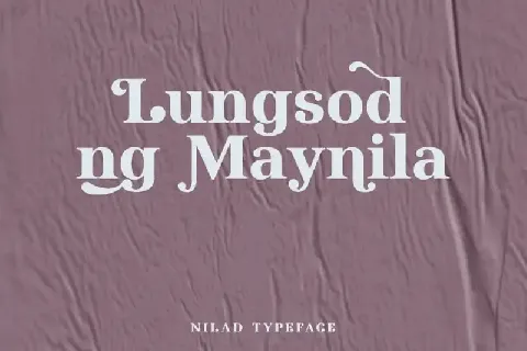 Nilad Serif font