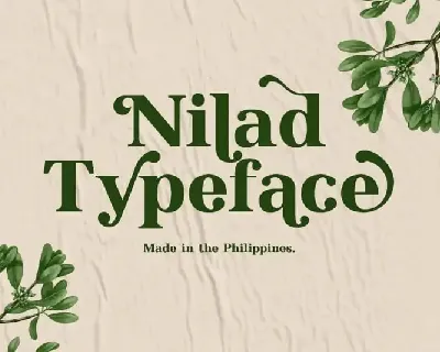 Nilad Serif font