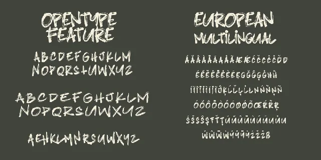 Blindshot font