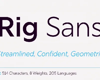 Rig Sans font