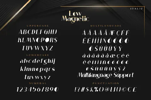 Low Magnetic Demo font