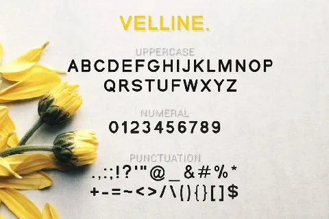 Velline font