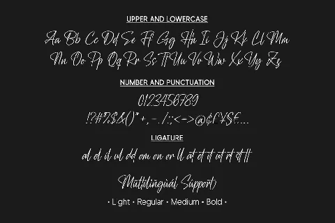 Amity Signature font