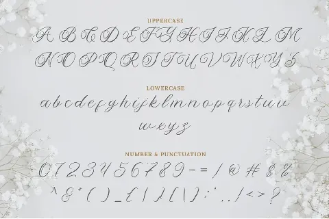 Yolitica font