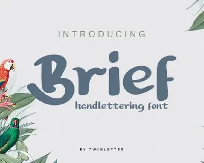 Brief Script font