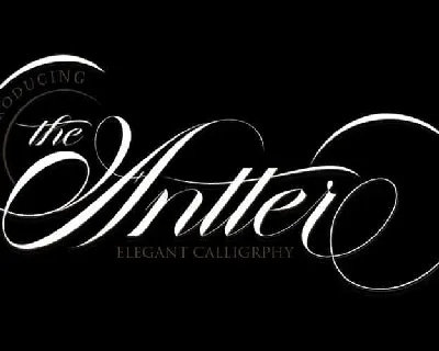 The Antter Calligraphy font