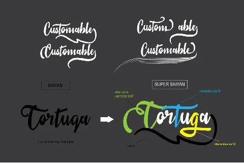 Sail Tortuga Script font