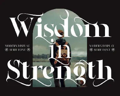 Wisdom in Strength Demo font