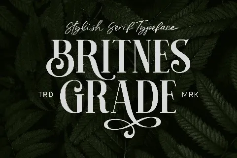 Britnes Grade font