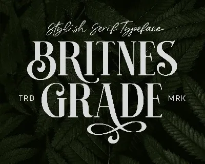 Britnes Grade font