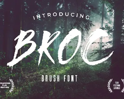 Broc font