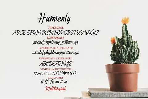 Humienly Demo font