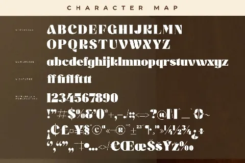 Misflen Radio DEMO VERSION font