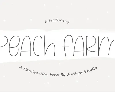 PeachFarm_PERSONALUSEONLY font