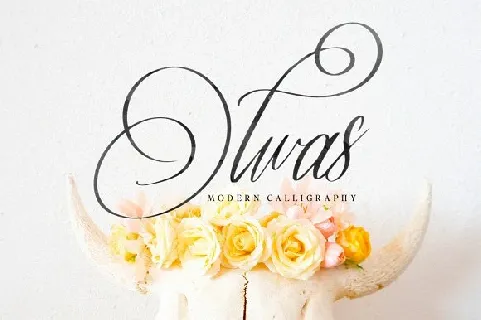 Olwas Script Free font