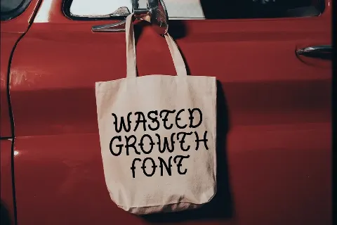 TF Wasted Growth DEMO font