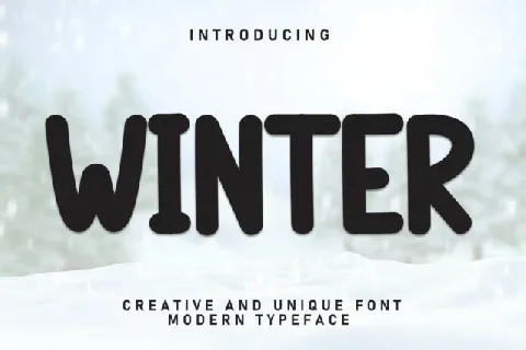 Winter Display font