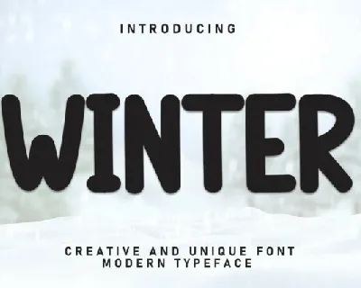 Winter Display font