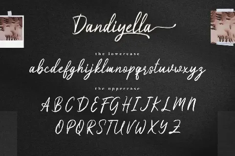 Dandiyella font