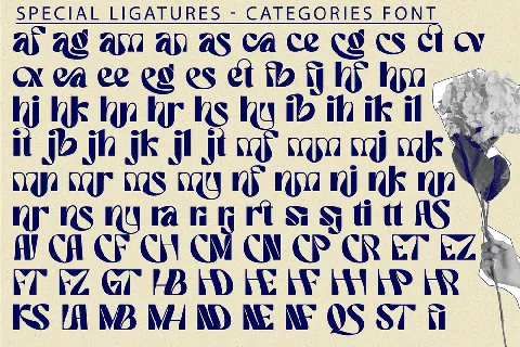 categories elegant demo font